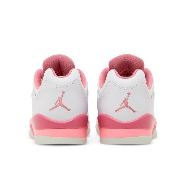 Кросівки Nike Air Jordan 5 Low Desert Berry DX4390-116 фото