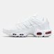 Кросівки чоловічі Nike Air Max TN Plus Toggle Triple White FD0670-400TW фото 3
