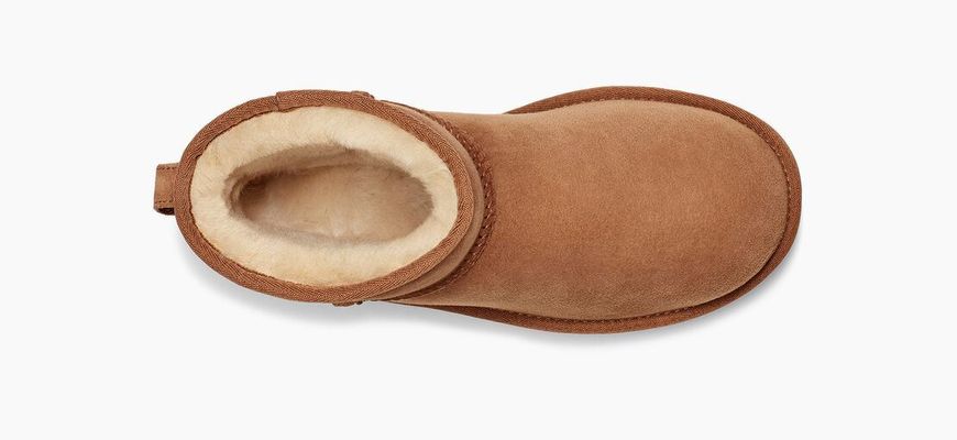 Уггі жіночі UGG Mini Classic 2 Chestnut 1016222-CHE фото