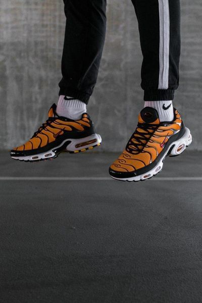 Кросівки чоловічі Nike Air Max Plus OG Tn Tiger BQ4629-001 фото
