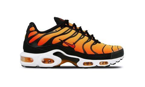 Кросівки чоловічі Nike Air Max Plus OG Tn Tiger BQ4629-001 фото