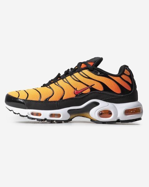 Кросівки чоловічі Nike Air Max Plus OG Tn Tiger BQ4629-001 фото