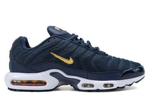 Кросівки чоловічі Nike Air Max TN Plus French Football Federation FB3350-400 фото