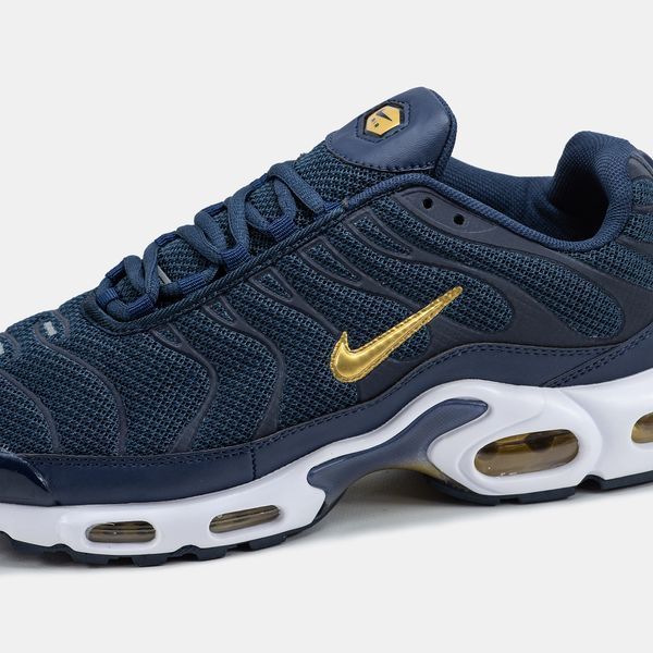Кросівки чоловічі Nike Air Max TN Plus French Football Federation FB3350-400 фото