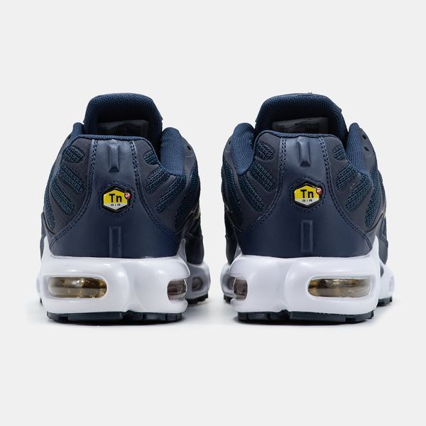 Кросівки чоловічі Nike Air Max TN Plus French Football Federation FB3350-400 фото