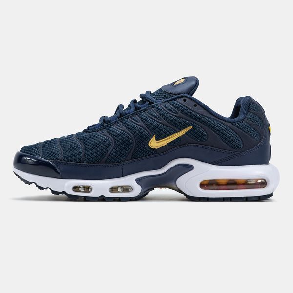 Кросівки чоловічі Nike Air Max TN Plus French Football Federation FB3350-400 фото
