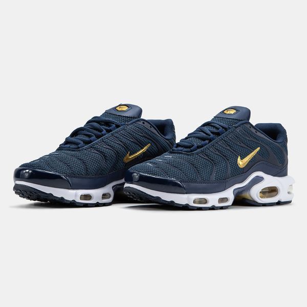 Кросівки чоловічі Nike Air Max TN Plus French Football Federation FB3350-400 фото