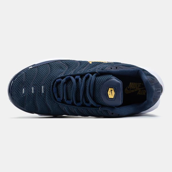 Кросівки чоловічі Nike Air Max TN Plus French Football Federation FB3350-400 фото