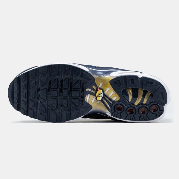 Кросівки чоловічі Nike Air Max TN Plus French Football Federation FB3350-400 фото