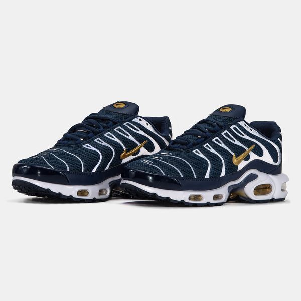 Кросівки чоловічі Nike Air Max TN Plus French Football Federation FB3350-400 фото
