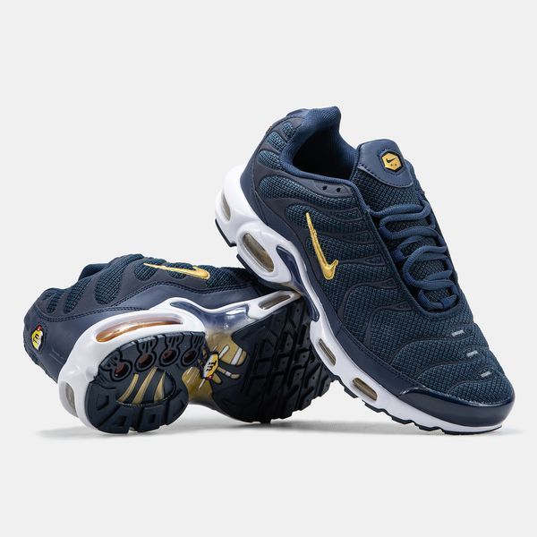 Кросівки чоловічі Nike Air Max TN Plus French Football Federation FB3350-400 фото