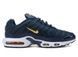 Кросівки чоловічі Nike Air Max TN Plus French Football Federation FB3350-400 фото 1