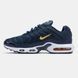 Кросівки чоловічі Nike Air Max TN Plus French Football Federation FB3350-400 фото 5