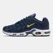 Кросівки чоловічі Nike Air Max TN Plus French Football Federation FB3350-400 фото 3