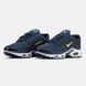 Кросівки чоловічі Nike Air Max TN Plus French Football Federation FB3350-400 фото 2
