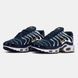 Кросівки чоловічі Nike Air Max TN Plus French Football Federation FB3350-400 фото 8