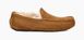 Мокасины UGG Mens Ascot Slipper Chestnut 1101110-CHE фото 1