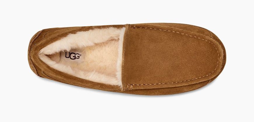 Мокасини UGG Mens Ascot Slipper Chestnut 1101110-CHE фото