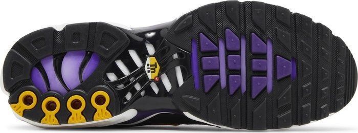 Кросівки чоловічі Nike Air Max TN Plus OG Voltage Purple DX0755-500 фото