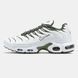 Кросівки чоловічі Nike Air Max TN Plus White Khaki FB9722-001K фото 3