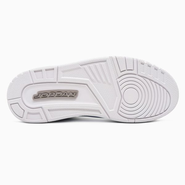Кросівки Nike Air Jordan 3 Retro Pure Money CT8532-111 фото
