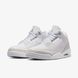 Кросівки Nike Air Jordan 3 Retro Pure Money CT8532-111 фото 2