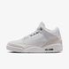 Кросівки Nike Air Jordan 3 Retro Pure Money CT8532-111 фото 5