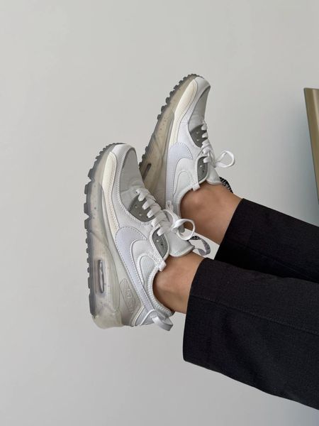Кросівки чоловічі Nike Air Max Terrascape 90 White DQ3987-101 фото