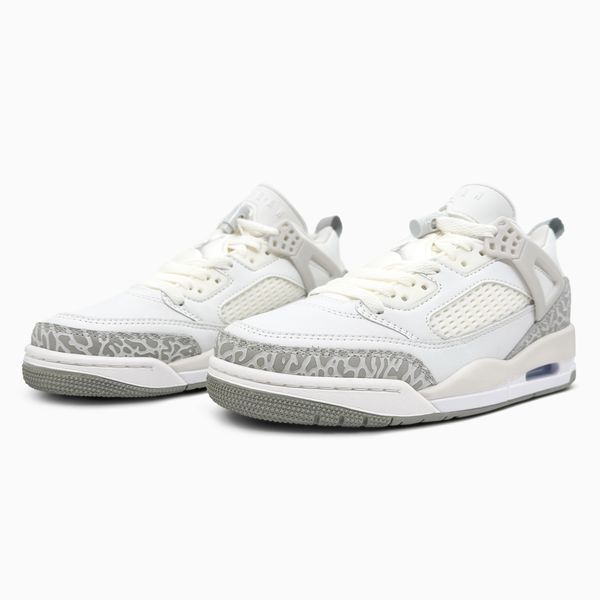 Кросівки Nike Air Jordan Spizike Low Summit White HQ3602-121 фото