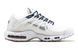 Кросівки чоловічі Nike Air Max TN Terrascape White Navy DC60781-001 фото 1