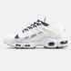 Кросівки чоловічі Nike Air Max TN Terrascape White Navy DC60781-001 фото 2