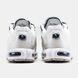 Кросівки чоловічі Nike Air Max TN Terrascape White Navy DC60781-001 фото 4