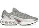 Кросівки Nike Air Max DN Supreme Silver Bullet HF6605-001 фото 1