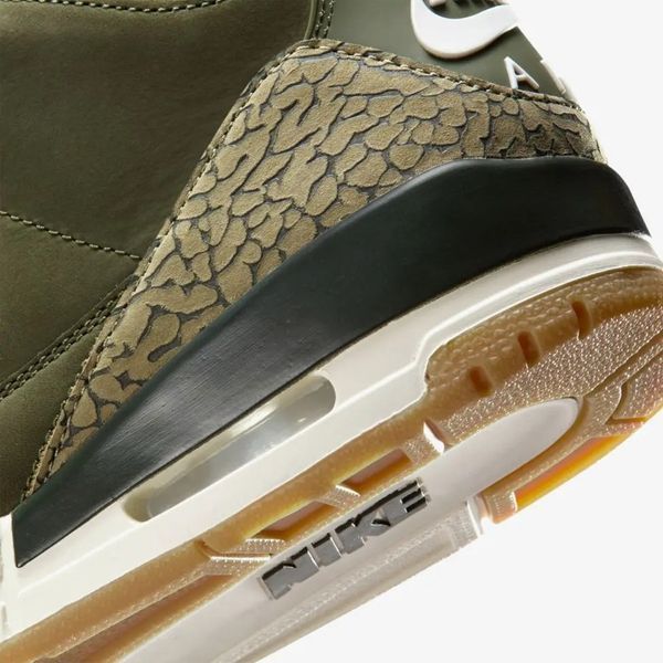 Кросівки Nike Air Jordan 3 Retro Family Affair DN3707-202 фото