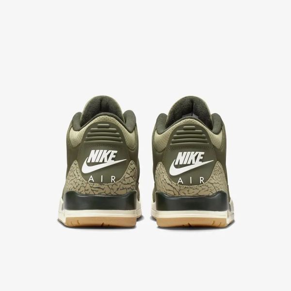 Кросівки Nike Air Jordan 3 Retro Family Affair DN3707-202 фото