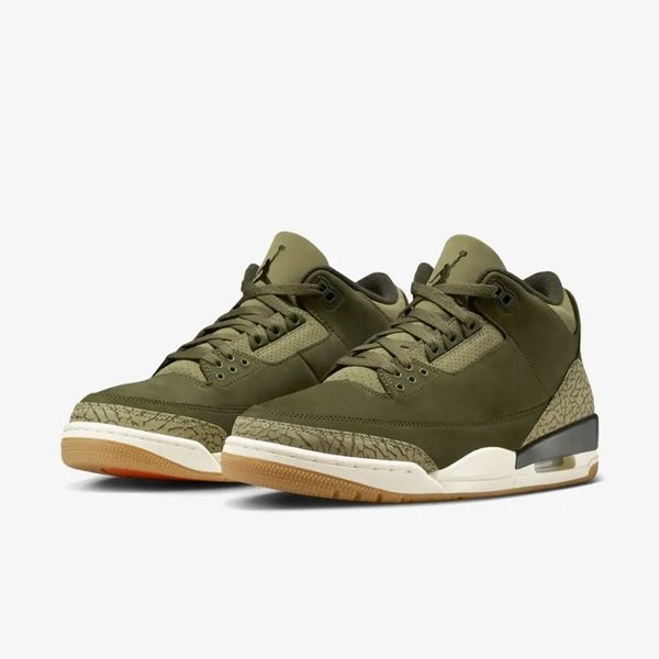 Кросівки Nike Air Jordan 3 Retro Family Affair DN3707-202 фото