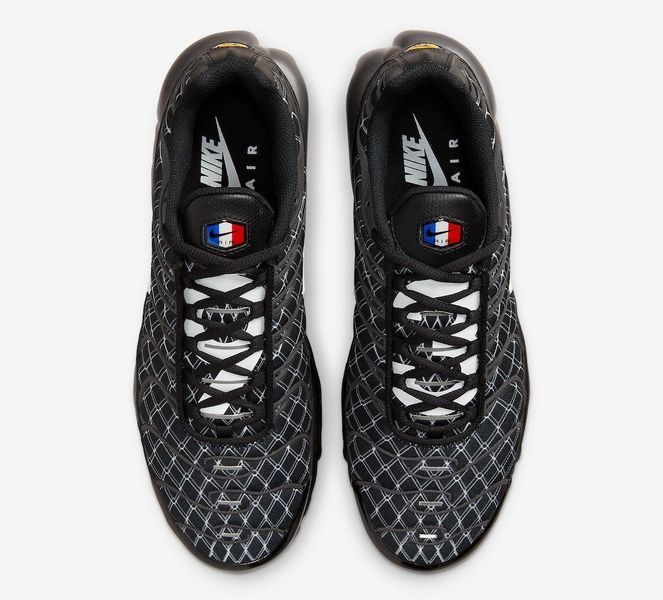 Кросівки чоловічі Nike Air Max Plus Tn France DV3194-001 фото