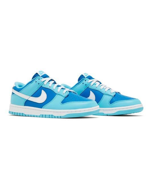 Кросівки чоловічі Nike Dunk Low Retro QS Argon DM0121-400 фото