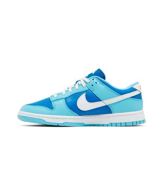 Кросівки чоловічі Nike Dunk Low Retro QS Argon DM0121-400 фото