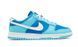 Кросівки чоловічі Nike Dunk Low Retro QS Argon DM0121-400 фото 7