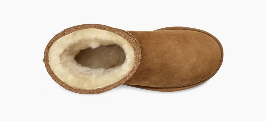 Уггі жіночі UGG Short Classic 2 Chestnut 1016223-CHE фото