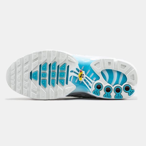 Кросівки чоловічі Nike Air Max TN Plus Marseille FQ2397-100 фото