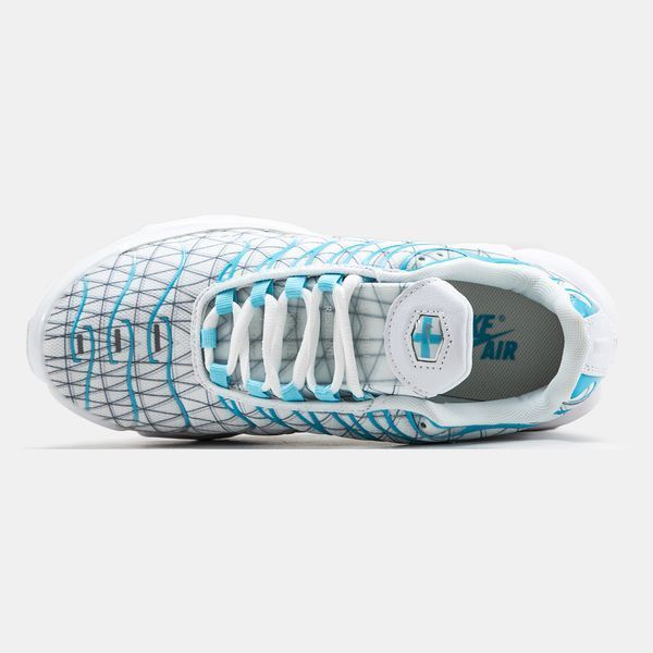 Кросівки чоловічі Nike Air Max TN Plus Marseille FQ2397-100 фото