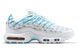 Кросівки чоловічі Nike Air Max TN Plus Marseille FQ2397-100 фото 1