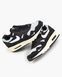 Кросівки чоловічі Nike Air Max 1 Patta Black DQ0299-001 фото 3