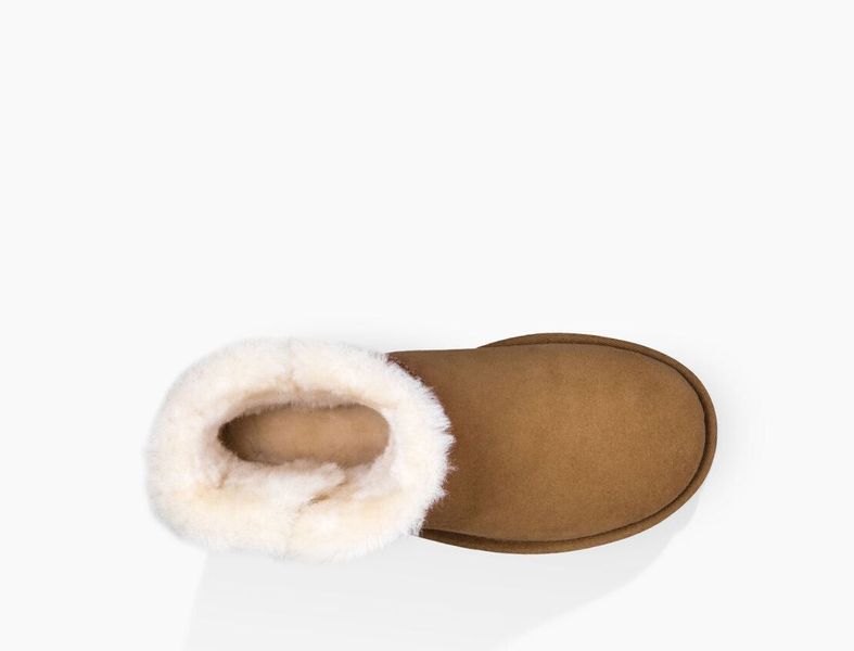 Уггі жіночі UGG Mini Bailey Button Classic ll Chestnut 1016422-CHE фото