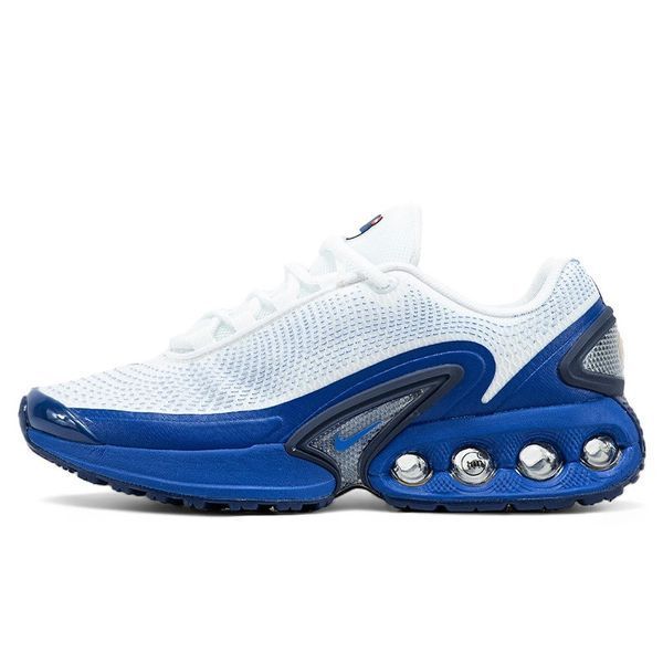 Кросівки чоловічі Nike Air Max DN Platinum Royal DV3337-102 фото