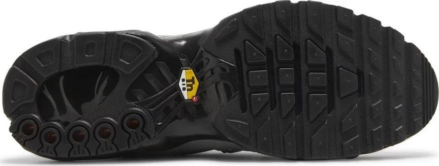 Кросівки чоловічі Nike Air Max TN Plus Toggle Utility Grey Fd0670-002 фото