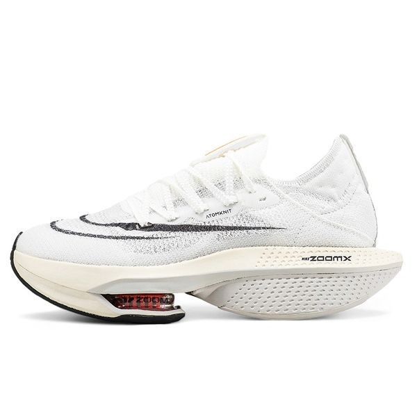 Кросівки Nike Air Zoom Alphafly Next 2 Prototype DJ6206-100 фото