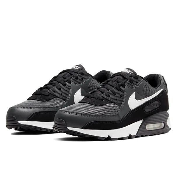 Кросівки Nike Air Max 90 Iron Grey CN8490-002 фото